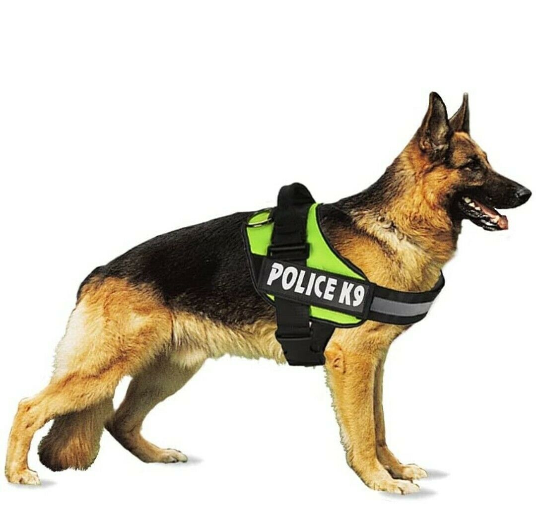 Police K9 Dog Harness Multi Colours Dog Harness XXL Assorted Colours K9XXL Parcel Rate