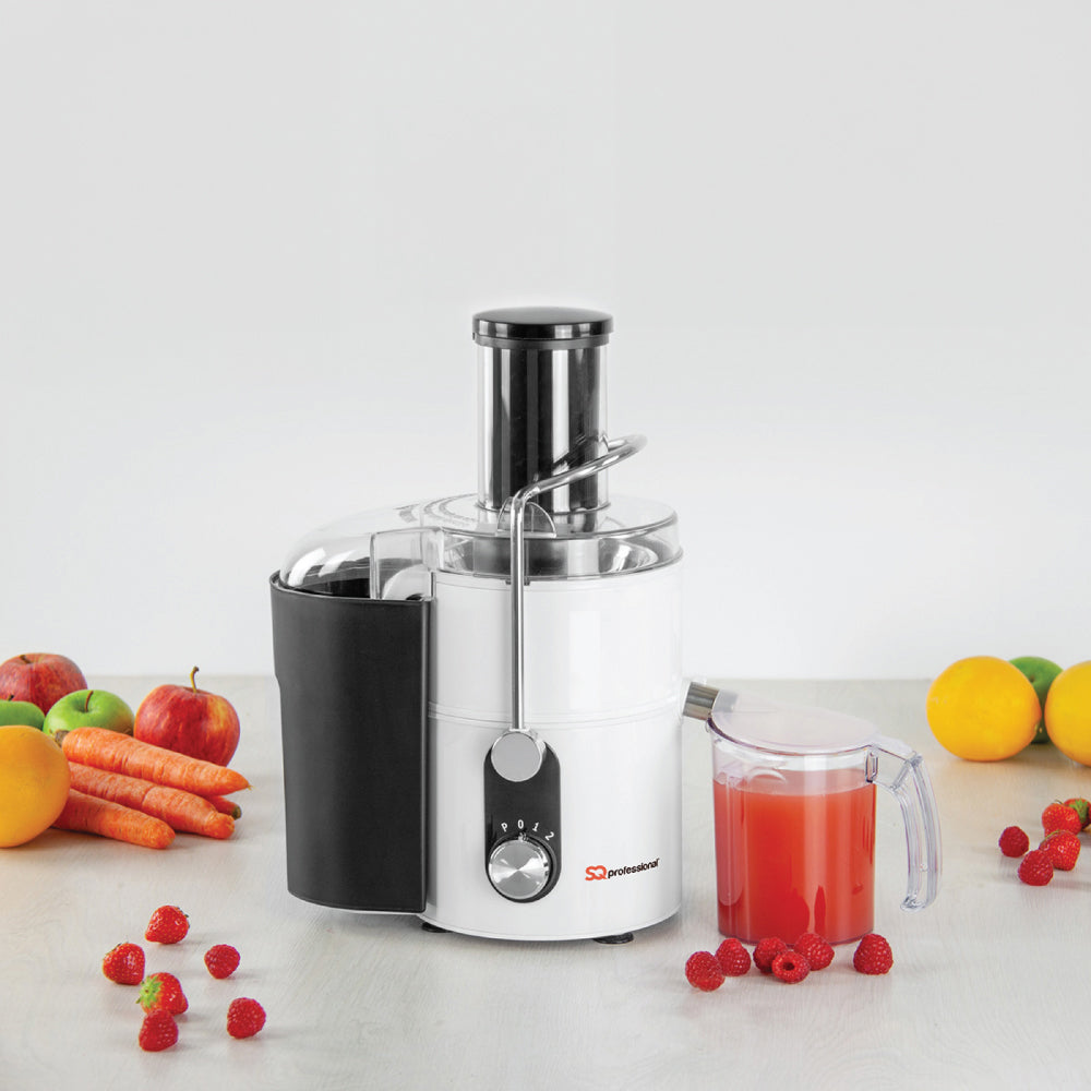 Professional juicer best sale