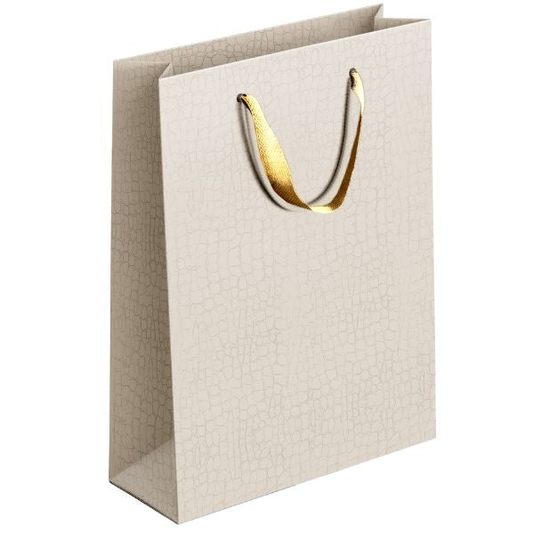 Embossed Matte Paper Gift Bag Large Assorted Colours P1906 (Parcel Rate)