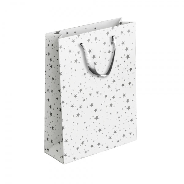 Gold / Silver Patterned Paper Gift Bag Medium Assorted Designs P1910 (Parcel Rate)