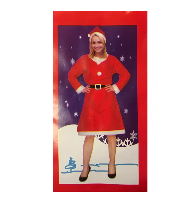 Christmas Santa Claus Lady Costume Dress One Size 1763 (Parcel Rate)