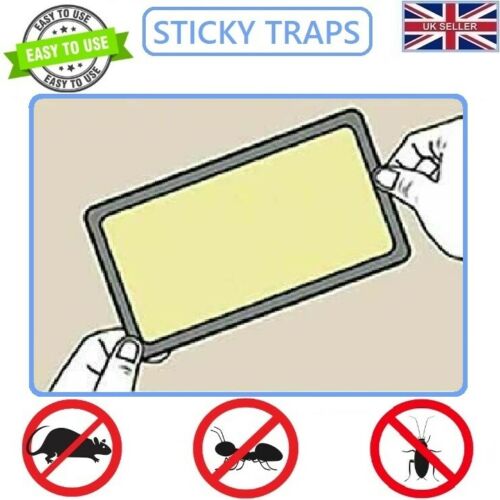 QuickCatch Rat & Mouse Glue Boards Poison Free 32 x 22 cm 900023 / TR003 (Parcel Rate)